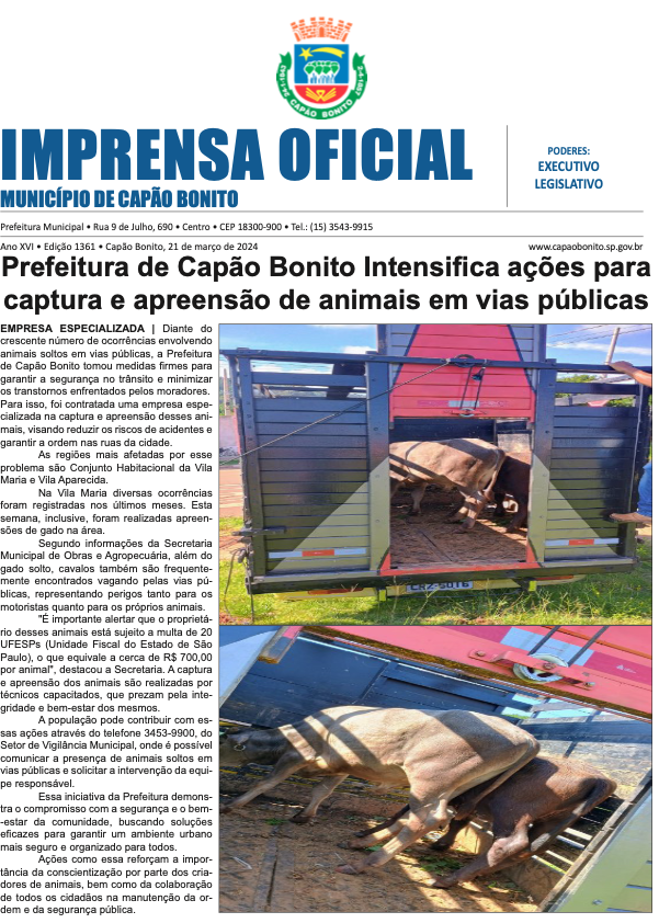 Capa da edição