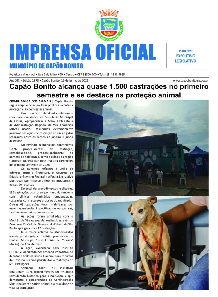 Capa da edição